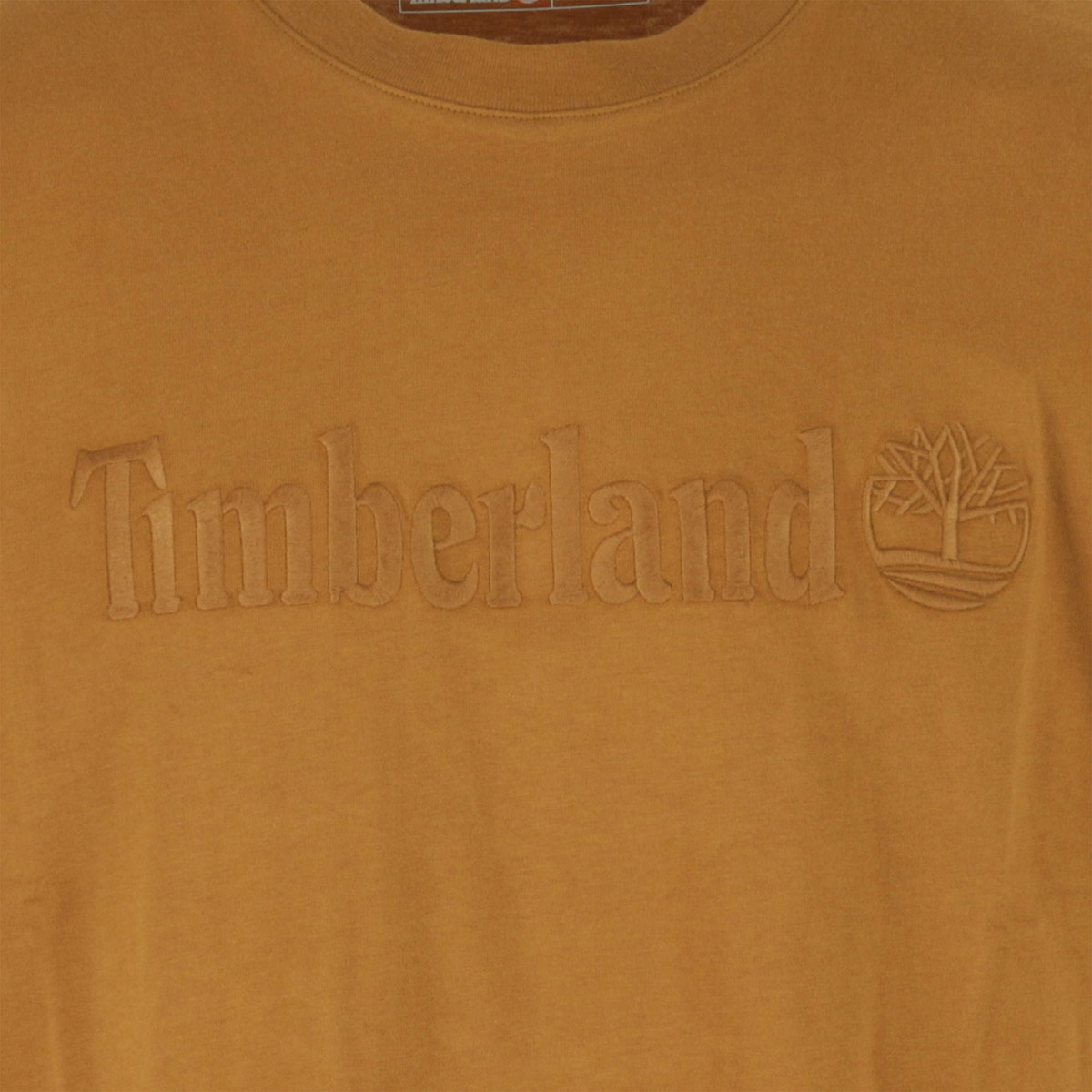 Embroidery Tonal Ss Tee